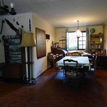Chambre Dans Propriete La Croix Du Sud Le Pradet Bagian luar foto